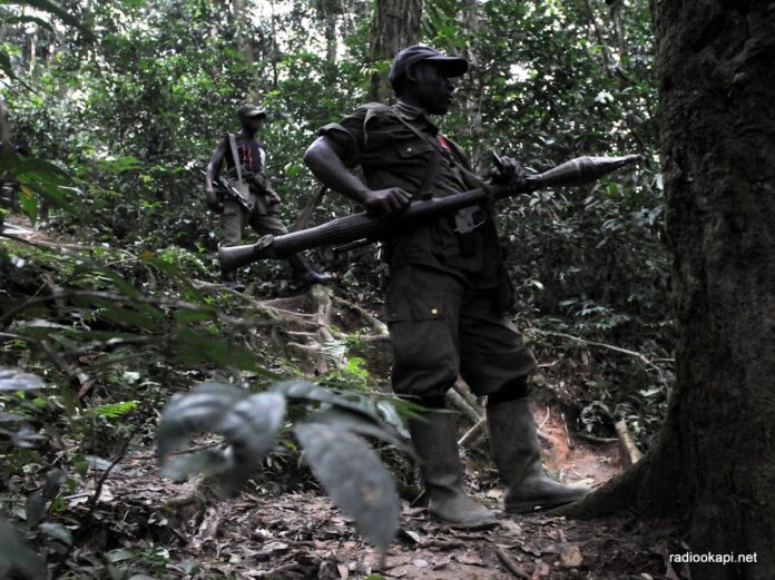 Nord-Kivu : la société civile exige une cartographie des FDLR avant l'offensive