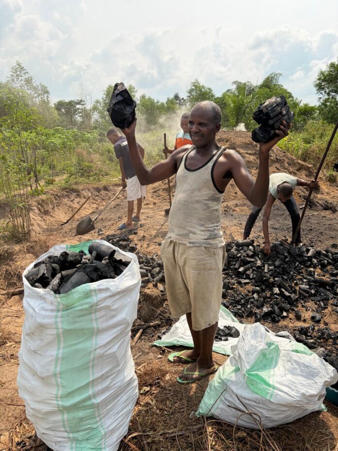 Beni étouffée par sa braise : la dépendance au charbon de bois ravage les forêts du Nord-Kivu