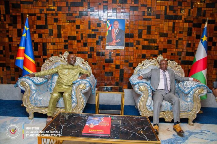 Sommet de Bangui : RDC et RCA s'allient contre LRA et Mbororo