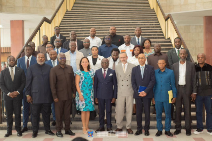 RDC : La réforme de la défense à l'épreuve de l'aide européenne