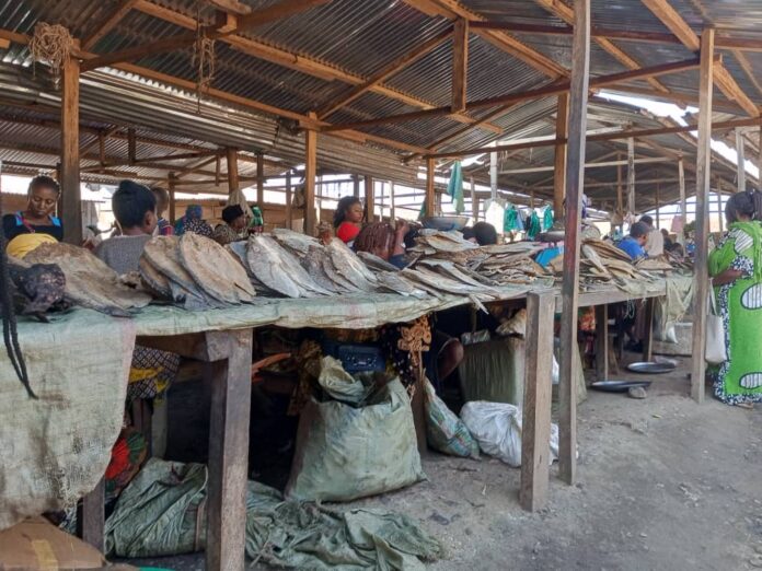 Etals de poissons fumés, salés et frais dans un marché animé de Mbuji-Mayi