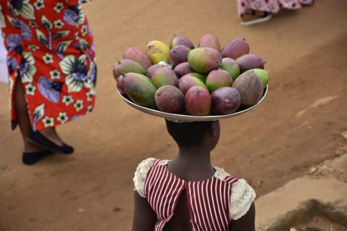 Enfants portant des marchandises sur leur tête dans une rue poussiéreuse à Beni