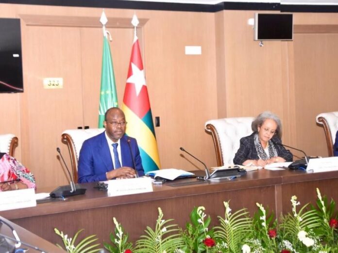 Salle de conférence avec drapeaux de l'UA, du Togo et de la RDC, et participants autour d'une table