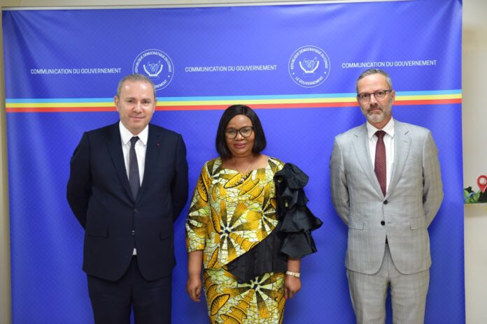 Rencontre entre Christophe Lecourtier et Marie Nyande Ndambo au ministère de l'Environnement