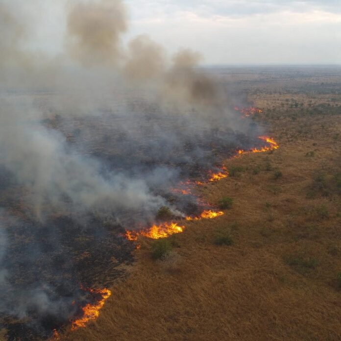 Bush fire in Kwilu province, DRC