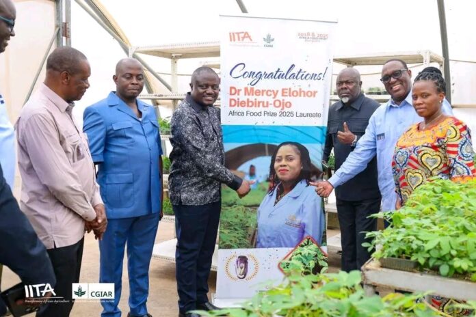 Champs agricoles avec des machines modernes et des plants de manioc sous un ciel ensoleillé