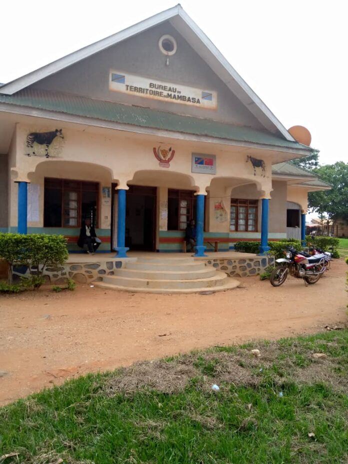 Hommes armés Wazalendo dans une zone minière à Mambasa, Ituri