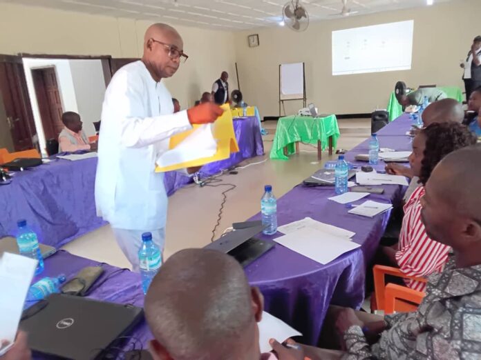 Nutritionnistes en formation sur l'alimentation du nourrisson et la nutrition communautaire à Kindu