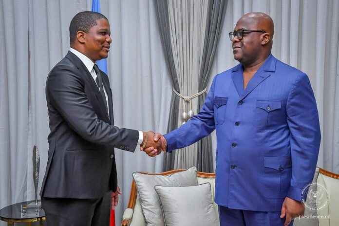 Rencontre entre le président Tshisekedi et le directeur général de l'ARSP