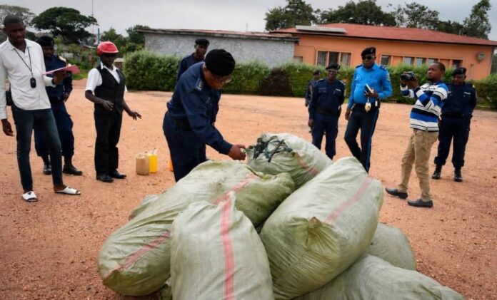 Des sacs de chanvre et autres stupéfiants brûlés lors d'une cérémonie d'incinération devant des officiers de police à Bunia