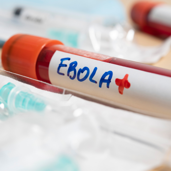 Équipe médicale en tenue de protection dans un centre de traitement Ebola en Ituri