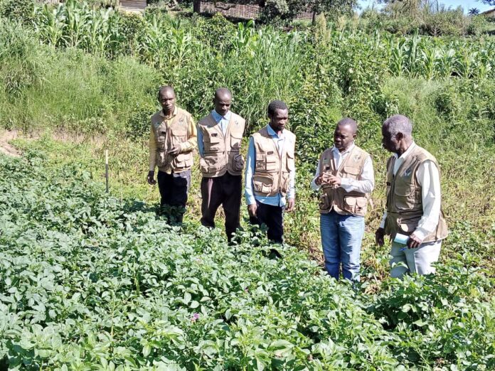 Vue du Complexe théicole de Butuhe avec ses équipements de transformation et les plantations de thé environnantes au Nord-Kivu