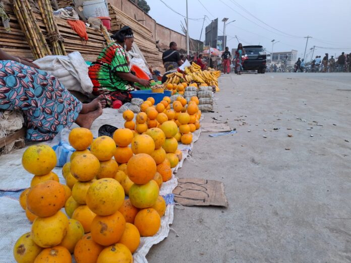 Structures inachevées du Marché Sud envahies par la végétation à Matadi