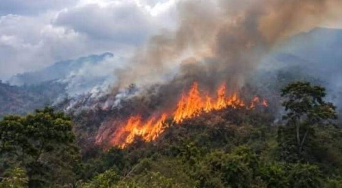 Feu de brousse dans le parc national de Kahuzi-Biega au Sud-Kivu
