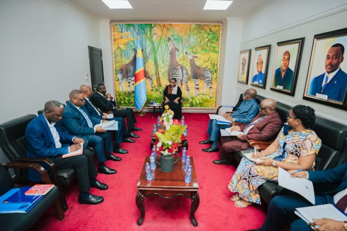 Travaux de construction d'un drain géant pour protéger Kinshasa de l'érosion Bolikango à Ngaliema