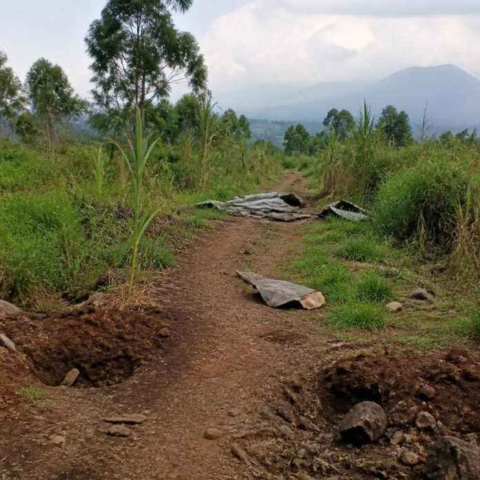 Chemin rural bordé de champs à Gikoro, dans le territoire de Rutshuru, après l’explosion d’un engin explosif