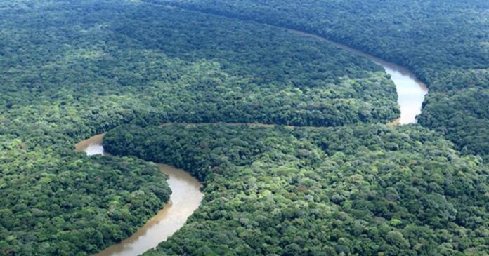 Réunion de travail d'organisations de la société civile sur la gouvernance du Couloir Vert Kivu-Kinshasa