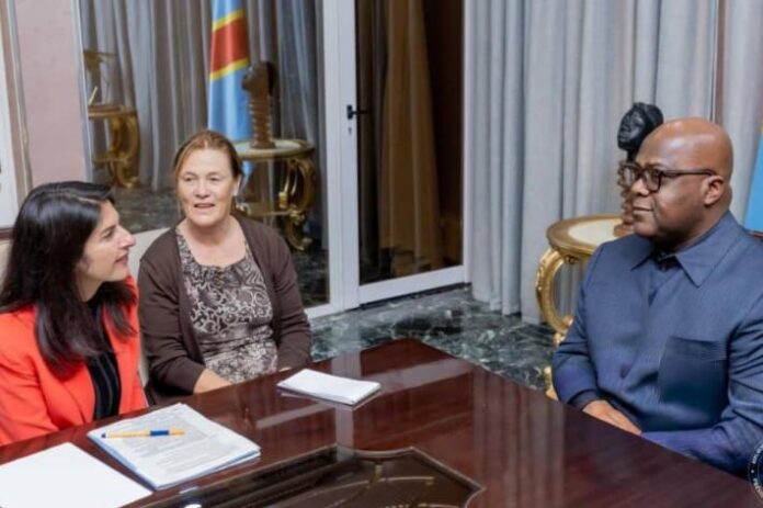Illustration editoriale accompagnant : Est de la RDC : Berlin propose une médiation à Tshisekedi