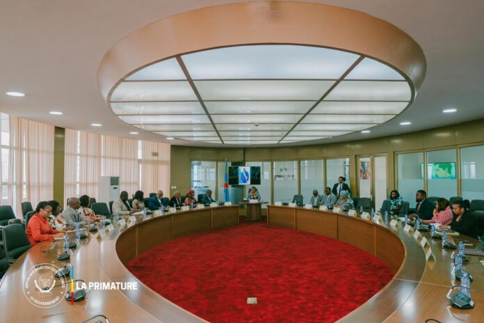 Salle de réunion officielle à Kinshasa, table avec dossiers, microphones et représentants autour du dialogue sur les droits humains