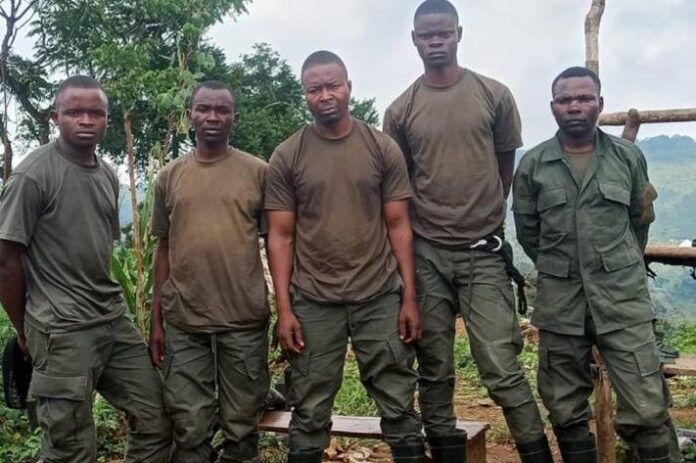 Cinq combattants de l'AFC/M23 remettant des fusils AK-47 aux services de sécurité à Lubero, Nord-Kivu