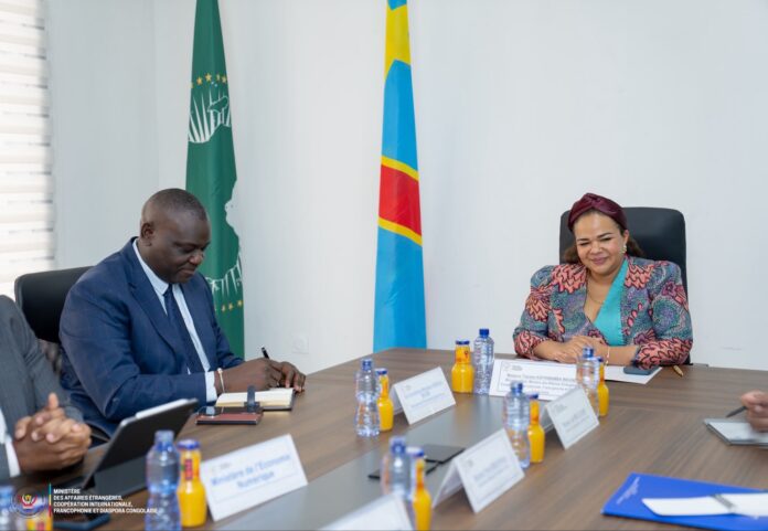 Illustration editoriale accompagnant : RDC : une plateforme en préparation pour les visas électroniques