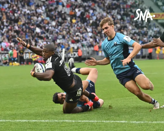 Illustration editoriale accompagnant : Stormers 49-12 Bristol : Roche double, bonus offensif au Cap